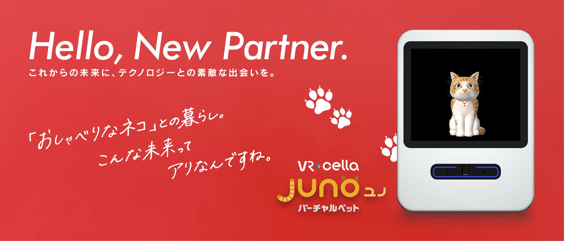 Juno ユノ　「おしゃべりなネコ」との暮らし。こんな未来ってアリなんですね。 Hello,New Partner.