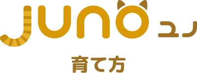 Juno（ユノ） バーチャルペット VC-01J 【ユピテル公式直販店 