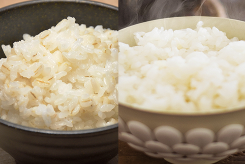麦ごはん&御殿場産 特Aコシヒカリ