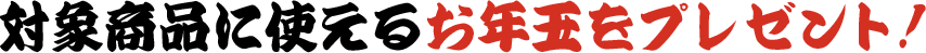 対象商品に使えるお年玉をプレゼント！