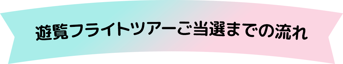 遊覧フライトツアーご当選までの流れ