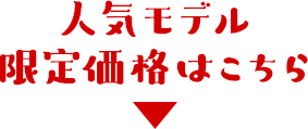 さらに人気モデルはこちら